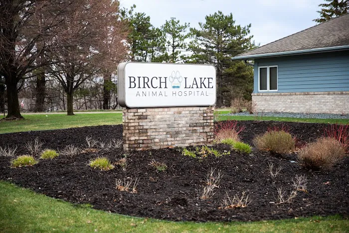Birch Lake Animal Hospital 12