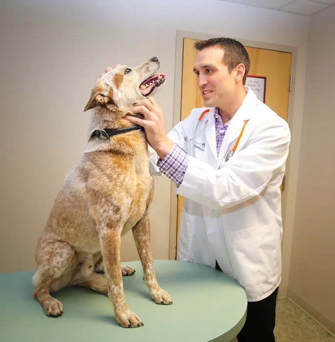 Birch Lake Animal Hospital 12