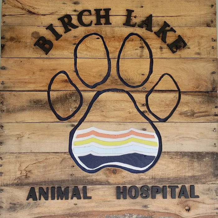 Birch Lake Animal Hospital 12