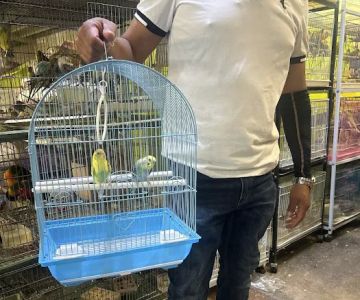 Pet shop Los angelitos