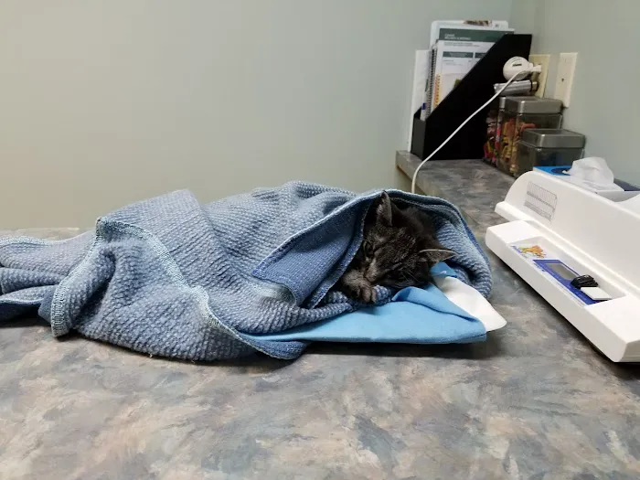Kelley Animal Hospital 12