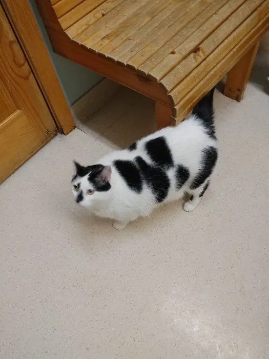 Kelley Animal Hospital 12