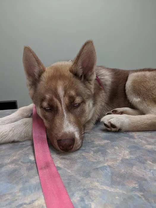 Kelley Animal Hospital 12