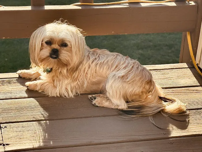 Kelley Animal Hospital 12