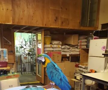 Pete’s Pet Supply