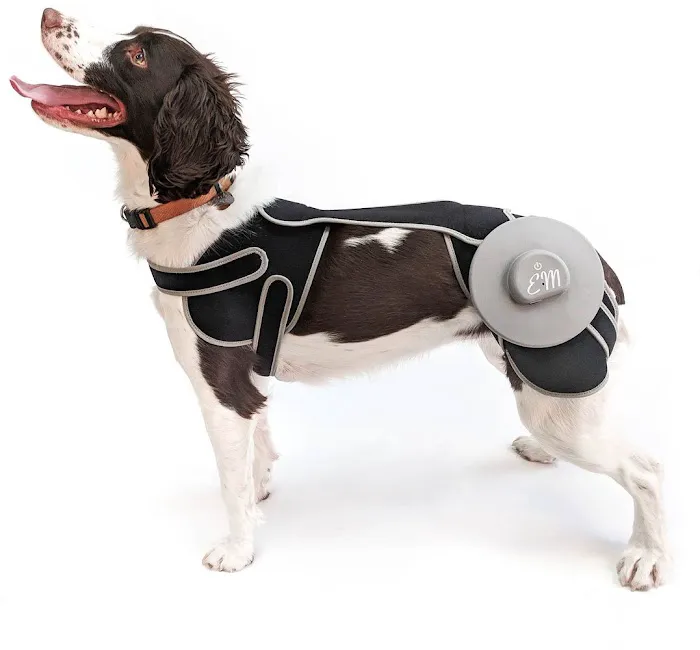 AOC Pet 12