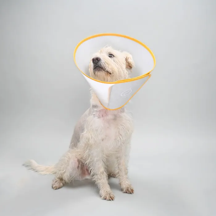 Animal Ortho Care 12