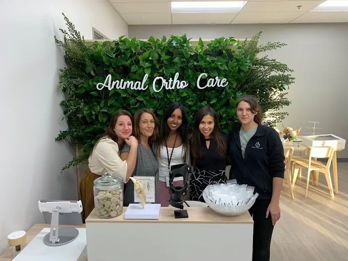 Animal Ortho Care 12