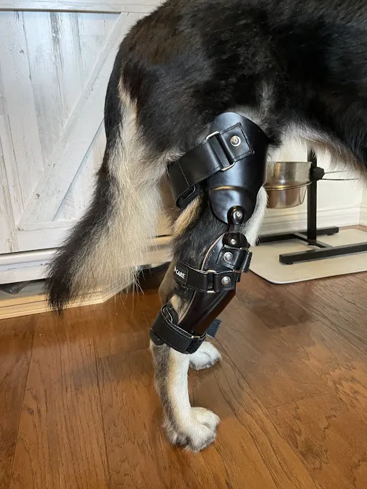 Animal Ortho Care 12
