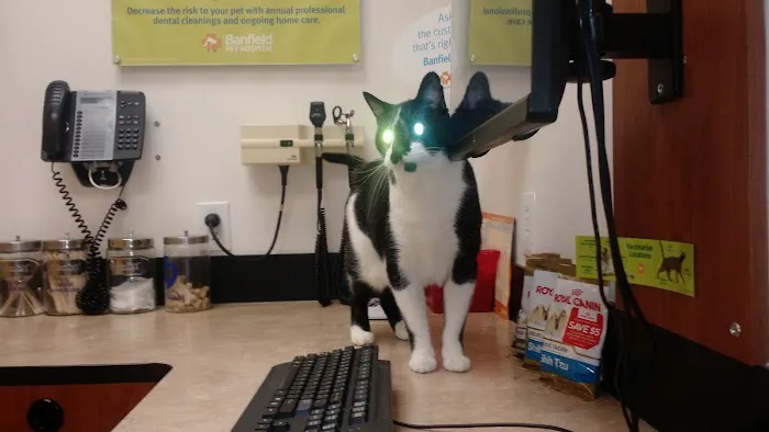 Banfield Pet Hospital 12