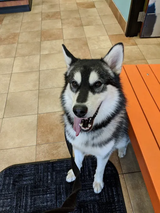 Banfield Pet Hospital 12