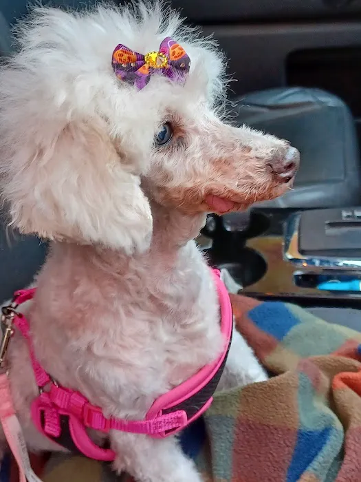 Banfield Pet Hospital 12