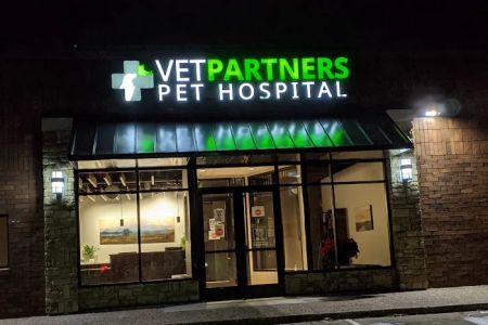 Vet Partners Edina