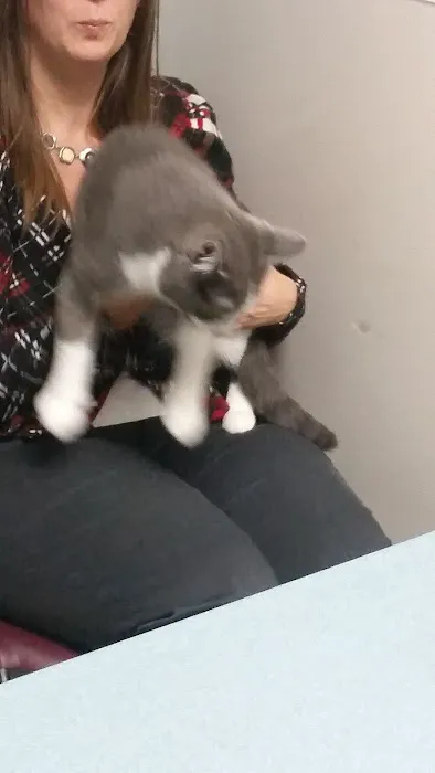 Best Friends Animal Hospital 12