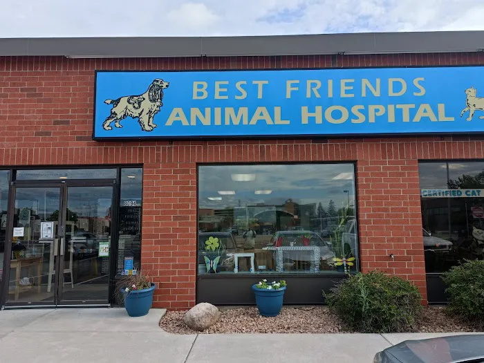 Best Friends Animal Hospital 12