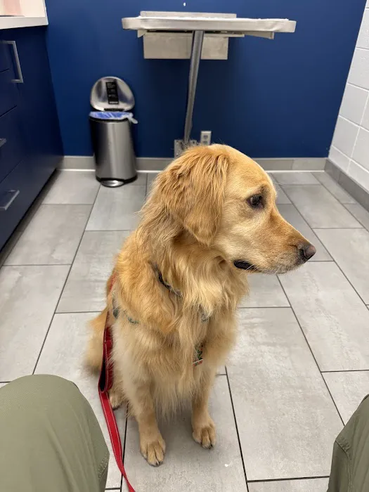 Southdale Pet Hospital 2