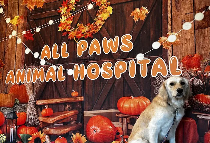 All Paws Animal Hospital 5