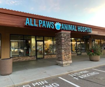All Paws Animal Hospital
