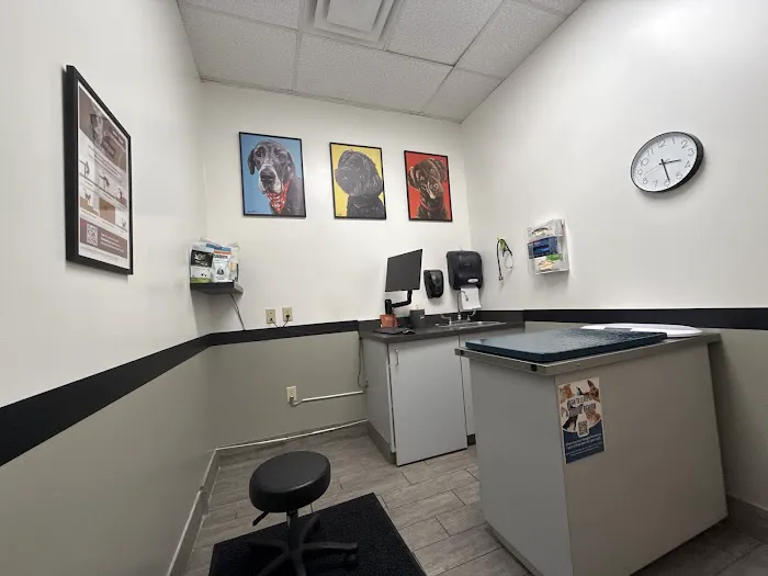 All Paws Animal Hospital 2