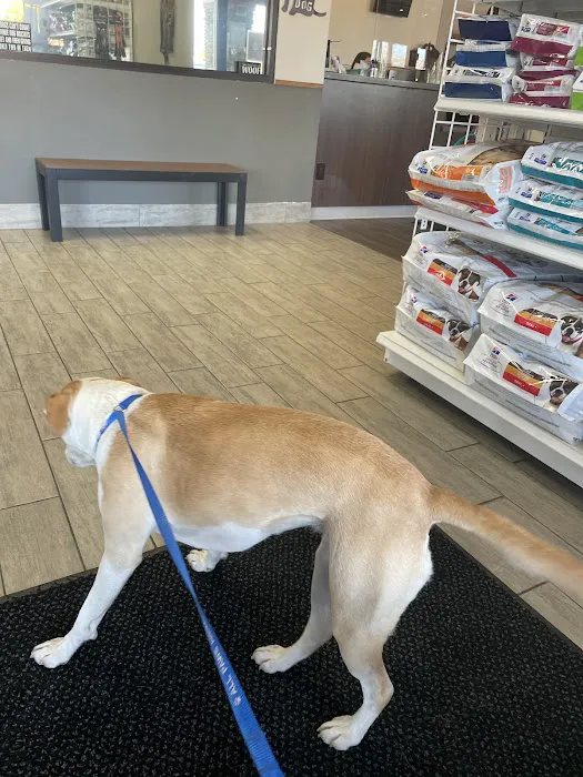 All Paws Animal Hospital 7