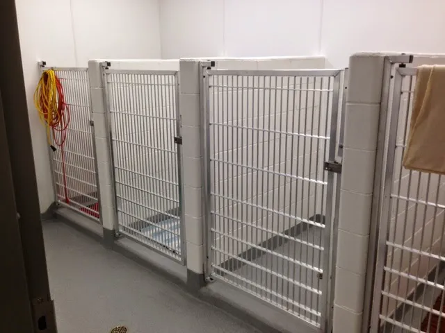Oak Knoll Animal Hospital: Earl Tracy DVM 3