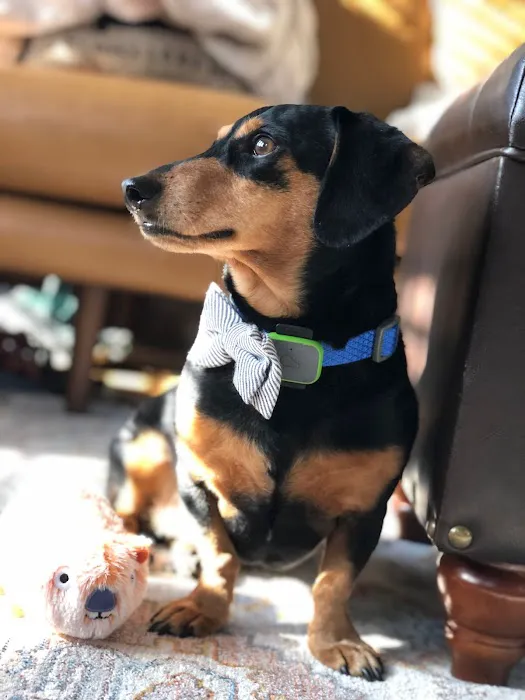 Banfield Pet Hospital 5