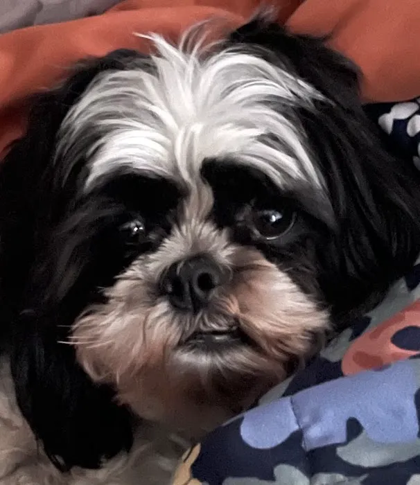 Banfield Pet Hospital 7