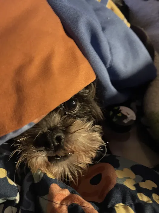 Banfield Pet Hospital 4