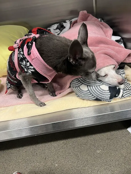 Banfield Pet Hospital 9