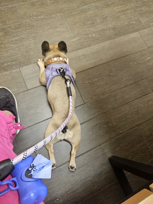 Banfield Pet Hospital 8