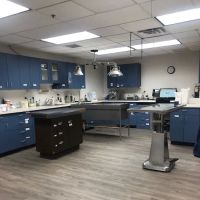 Golden Valley Animal Hospital ico