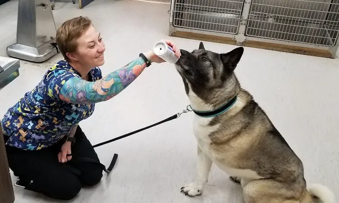 Golden Valley Animal Hospital 5