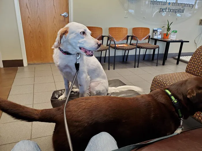 BluePearl Pet Hospital Golden Valley 12