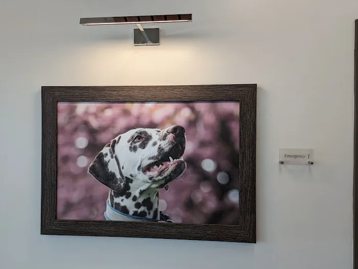 BluePearl Pet Hospital Golden Valley 12