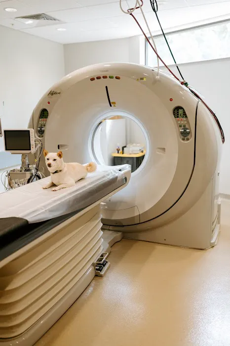BluePearl Pet Hospital Golden Valley 12
