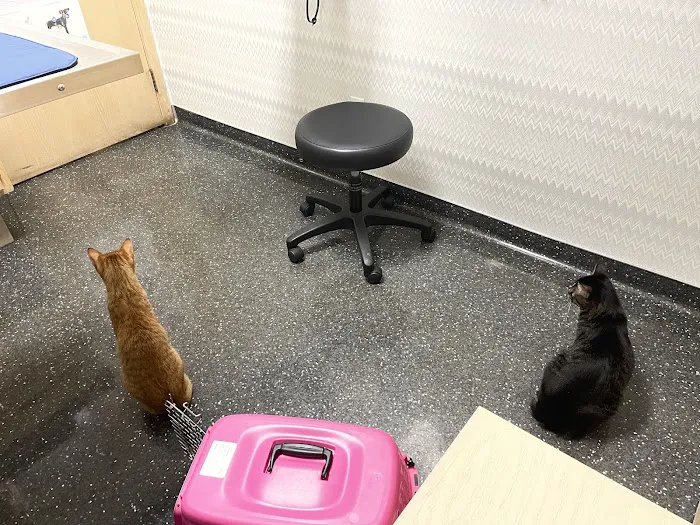 New Hope Animal Hospital 2