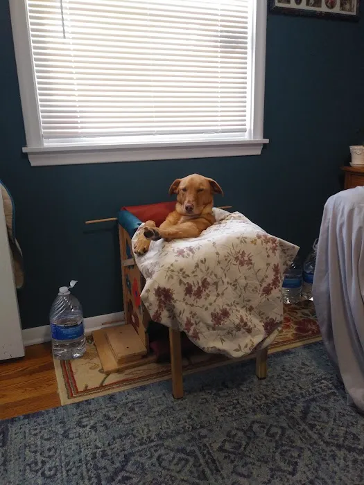 New Hope Animal Hospital 9