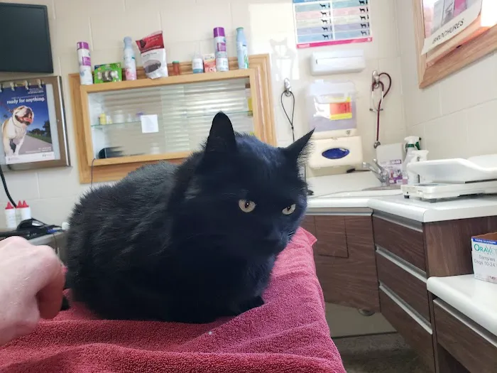 Skyline Veterinary Hospital 3