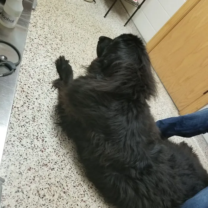 Skyline Veterinary Hospital 6