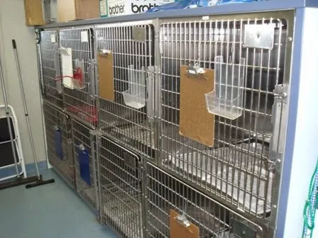 Mounds View Animal Hospital 2