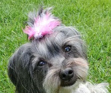 Mounds View Animal Hospital