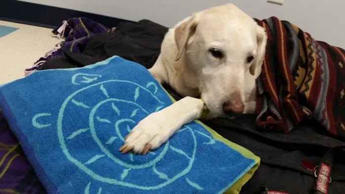 Mounds View Animal Hospital 4