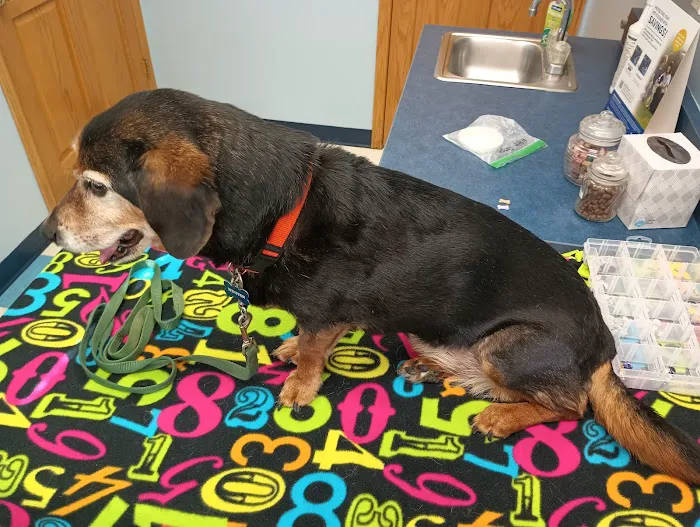 Mounds View Animal Hospital 5