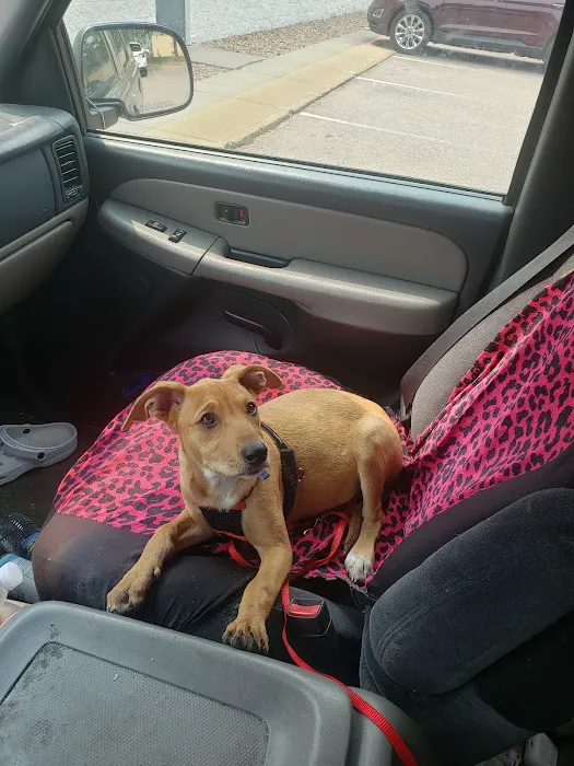 Northbrook Animal Hospital 5