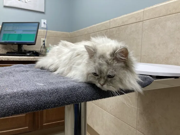 Northbrook Animal Hospital 6