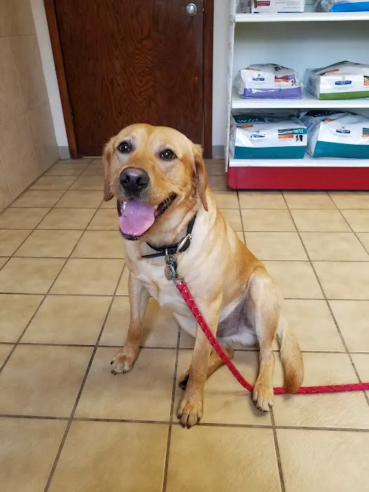 Northbrook Animal Hospital 7