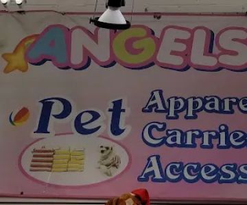 Angels Pet