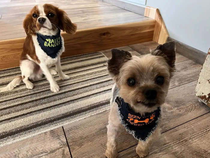 Brookdale Animal Hospital 1