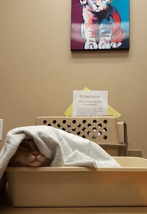 Brookdale Animal Hospital 4
