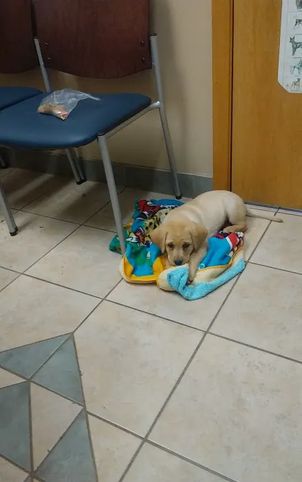 Brookdale Animal Hospital 10